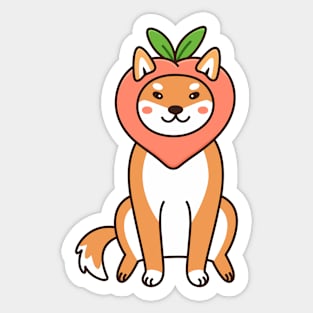 Peachy Shiba Inu Sticker